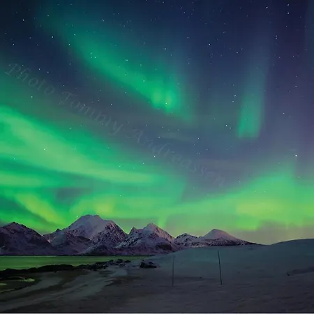 Amazing In Leknes With Kitchen Tatil Evi *